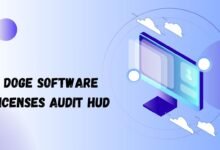 Doge Software Licenses Audit HUD